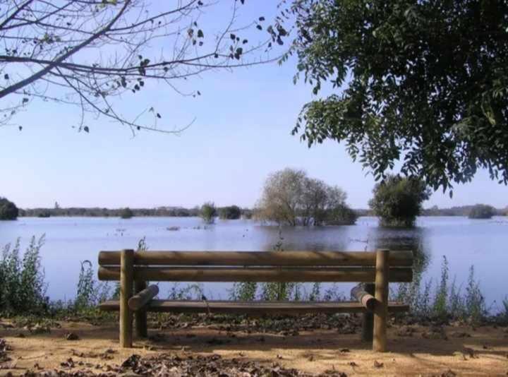 Currais O Pequeno Paraiso Entre O Mar E A Serra Aveiro Exterior photo